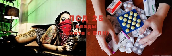 гидра Вяземский