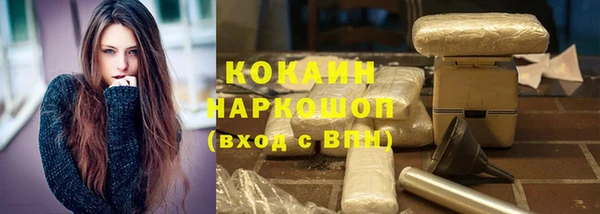 индика Горно-Алтайск