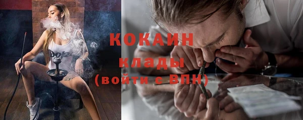 индика Горно-Алтайск