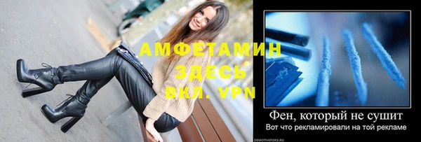 гидра Вяземский