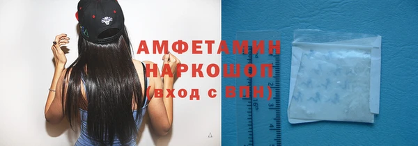 индика Горно-Алтайск