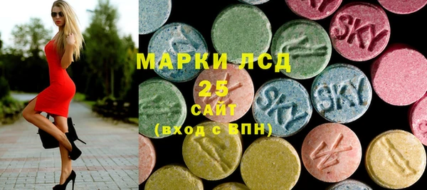 гидра Вяземский