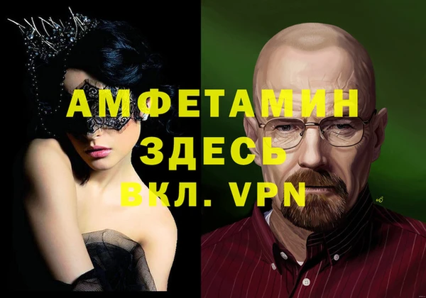 гидра Вяземский