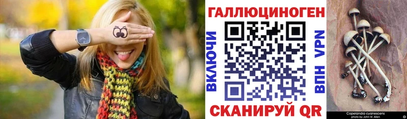 мега маркетплейс  Уссурийск  Псилоцибиновые грибы мицелий 