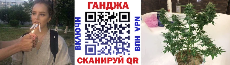 Конопля сатива  Уссурийск 